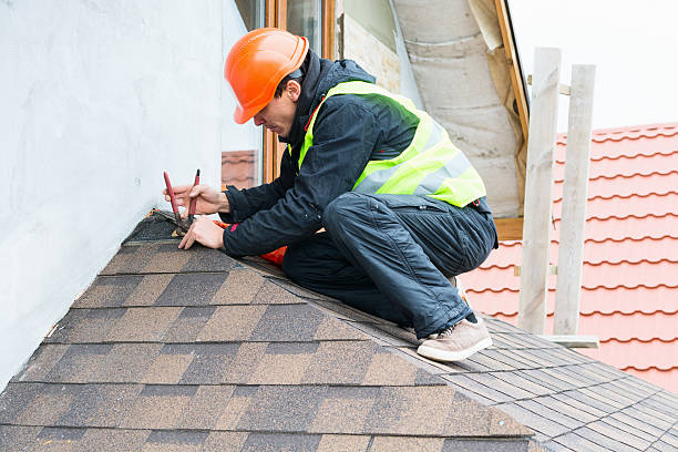 Best Roof Gutter Cleaning  in Kitsap Lake, WA